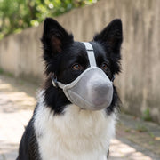 AeroSnout - Atmungsaktiver Hunde Maulkorb