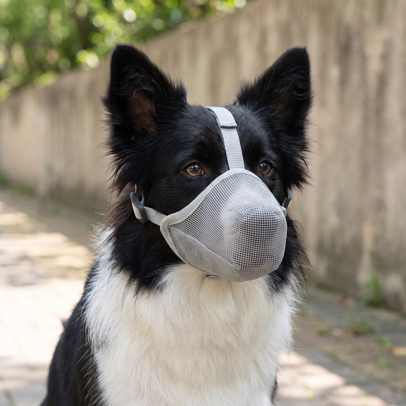 AeroSnout - Atmungsaktiver Hunde Maulkorb