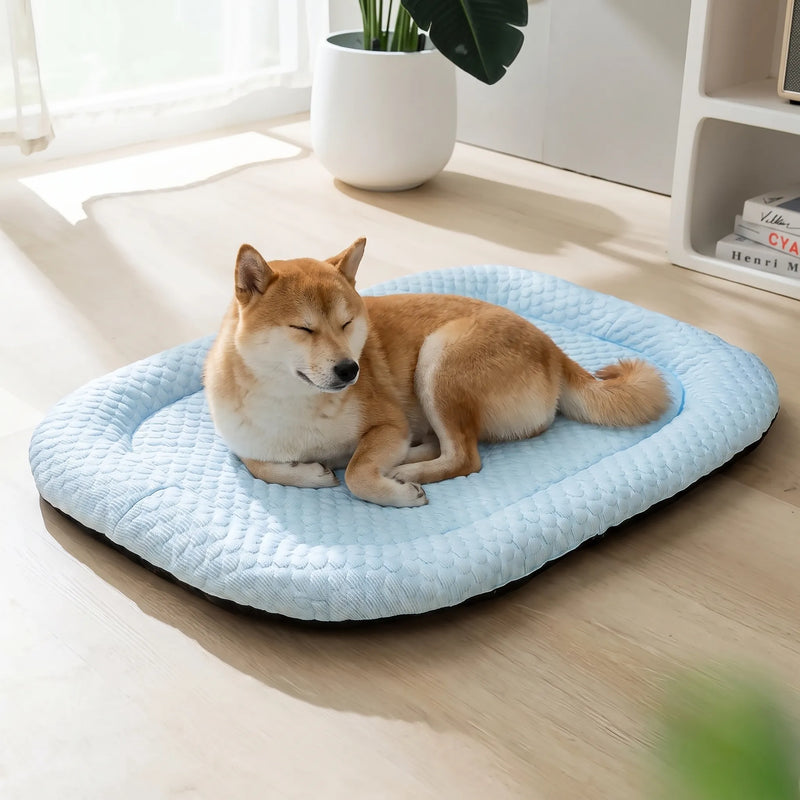 ChillPaws - Hundebett Mit Kühlender Oberfläche