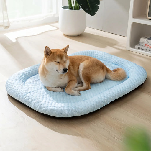 ChillPaws - Hundebett Mit Kühlender Oberfläche