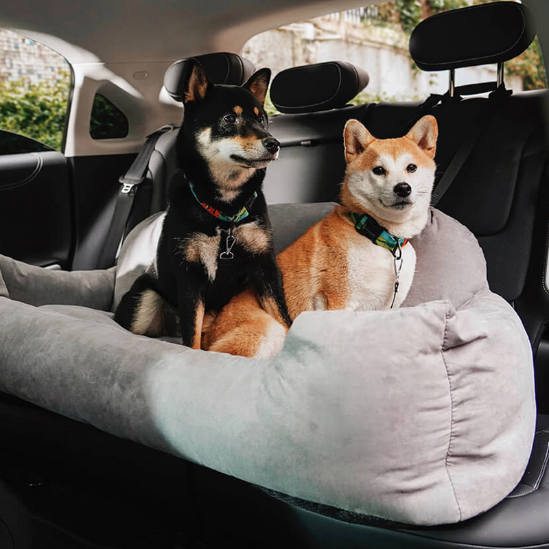 Auto-Hundebett mit Gepolstertem Rand für die Rückbank