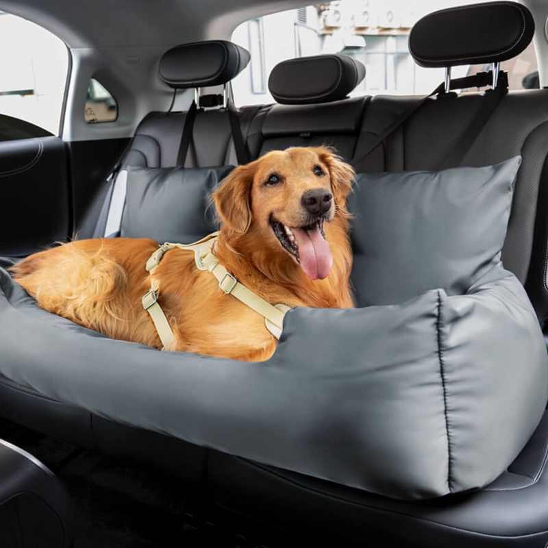Auto-Hundebett mit Gepolstertem Rand für die Rückbank