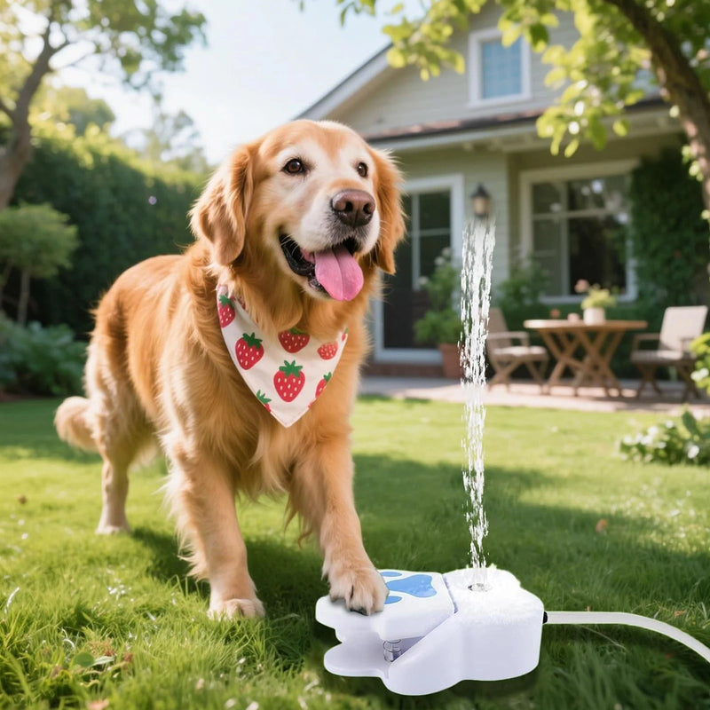 Hunde-Wasserfontäne mit Pfotentaste für Trinken, Spiel und Abkühlung